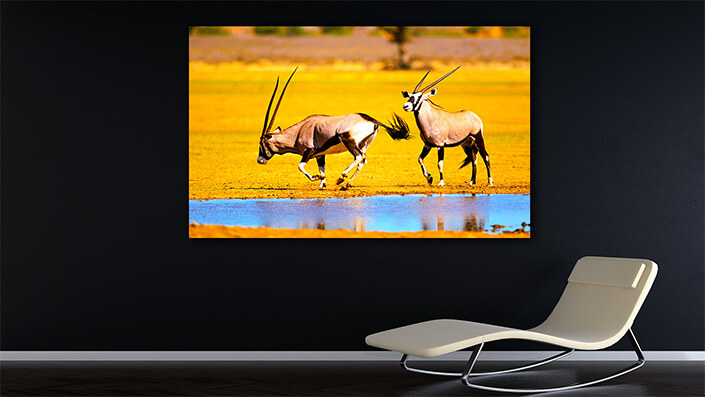 WEB002 0006 MOCKUP 0019 47035246 gemsbok antelopes at a waterhole AOAY4786