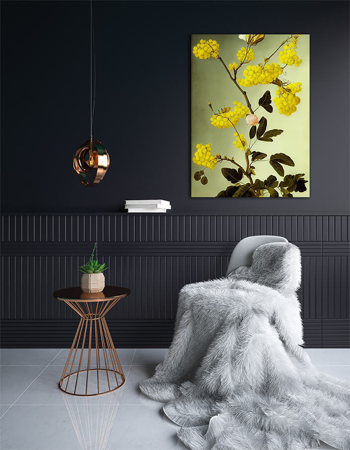 WEB002 0008 ML 0020 49132744 an artistic illustration of the australian wattle AOAY8220