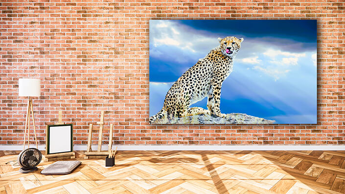 WEB002 0008 MOCKUP 0026 22676228 wild African cheetah AOAY558322676228 wild African cheetah AOAY5583