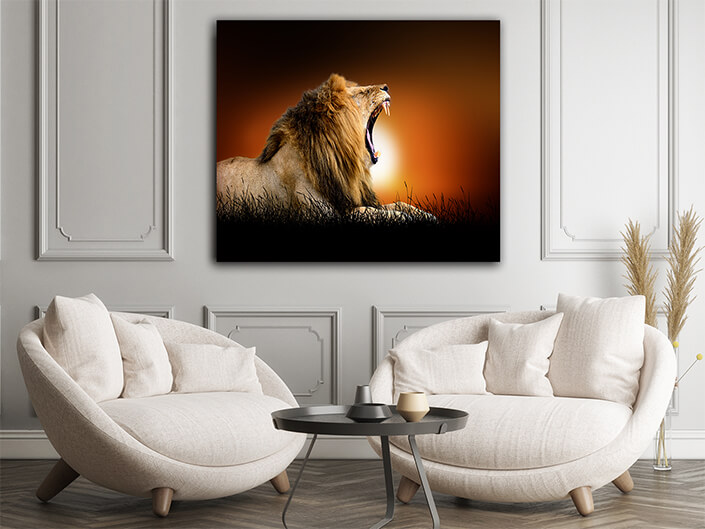 WEB002 0009 ML 0023 22639448 lion on the background of sunset AOAY5547