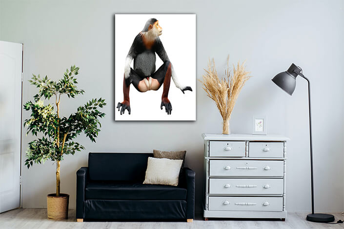 WEB002 0010 MP 0025 28076518 red shanked douc langur isolated on white background AOAY6447