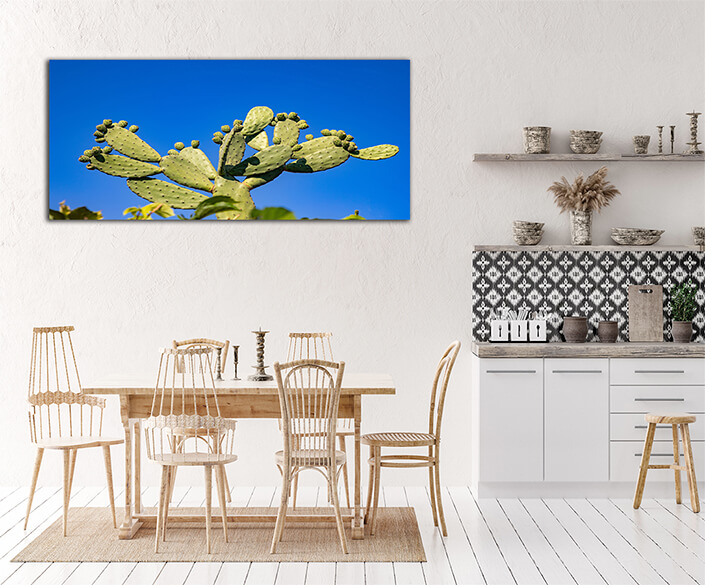 WEB002 0011 ML 0010 46992824 green desert cactus bush on blue sky background AOAY4821