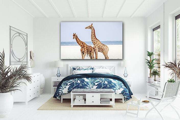 WEB002 0012 ML 0024 24221928 side profile of two giraffes AOAY6810