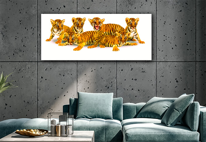 WEB002_0013_ML__0020_20990800_baby bengal tiger on white background AOAY4626