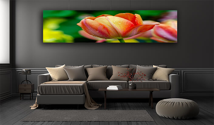 WEB002 0014 ML 0030 27915474 red yellow tulip fields are densely blooming AOAY5624