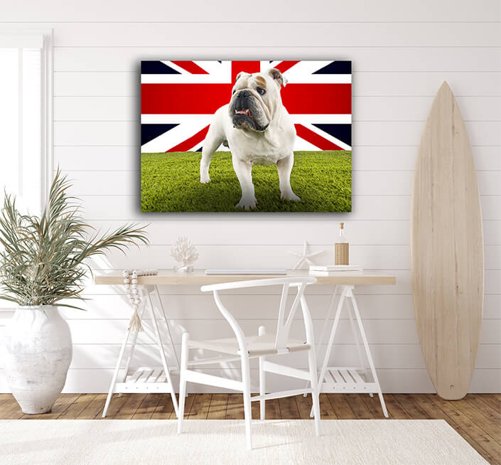 WEB002 0014 MP 0019 34604976 a still life photography of a dog with UK flag AOAY6278