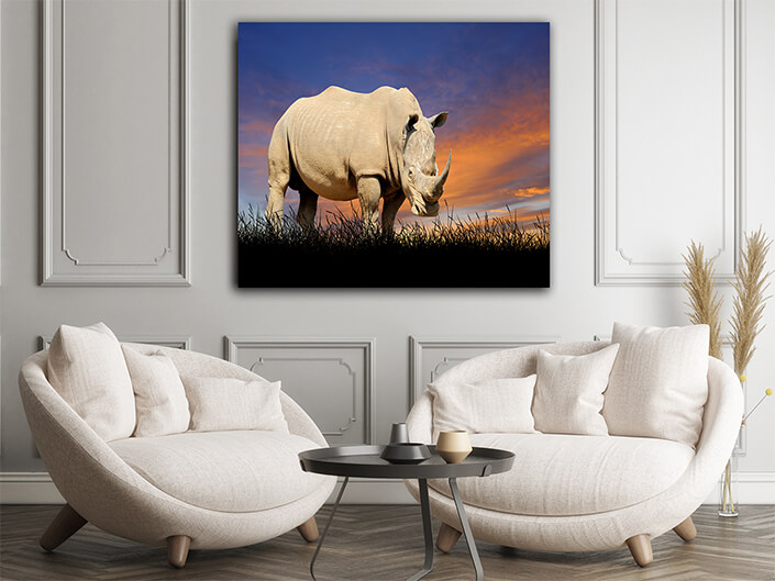 WEB002 0016 ML 0016 22639478 The Rhino on the background of sunset sky AOAY5554