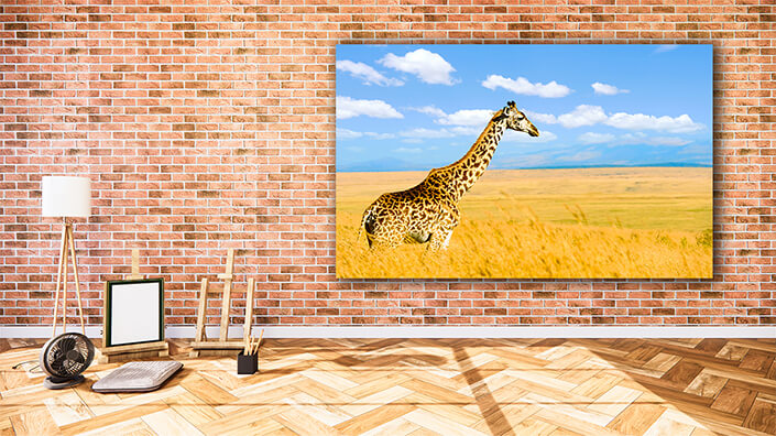 WEB002_0016_MOCKUP__0017_22676450_giraffe on savannah in africa AOAY5592
