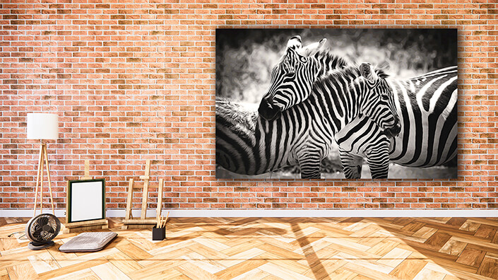 WEB002_0017_MOCKUP__0016_22676434_Two zebra on grassland in africa AOAY8112