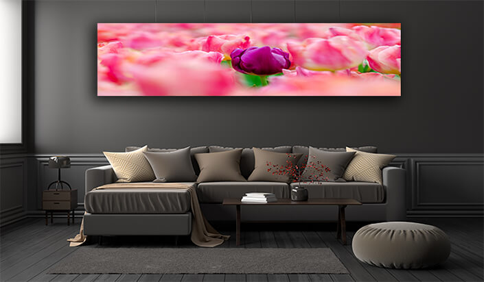 WEB002 0018 ML 0026 27915478 the red yellow tulip fields are densely blooming AOAY5627