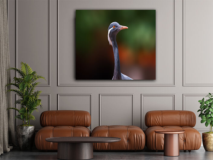 WEB002 0019 MP 0005 37203172 heron observes nature and looks for food AOAY6032