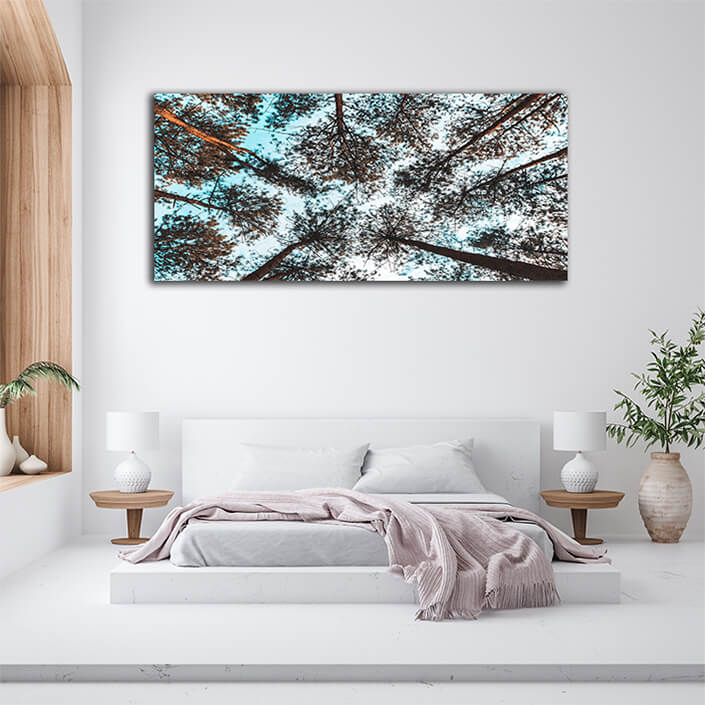 WEB002 0019 MP 0008 31412644 pinus mugo in creeping pine dwarf mountain AOAY7258