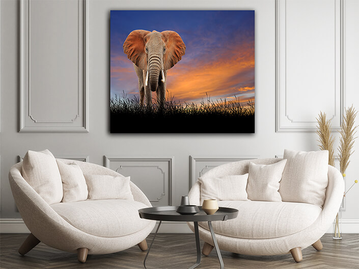WEB002 0020 ML 0012 22639486 The elephant on the background of sunset sky AOAY5558