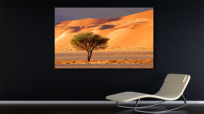 WEB002_0023_MOCKUP__0001_45478594_desert-landscape-with-tree-namibia AOAY4767
