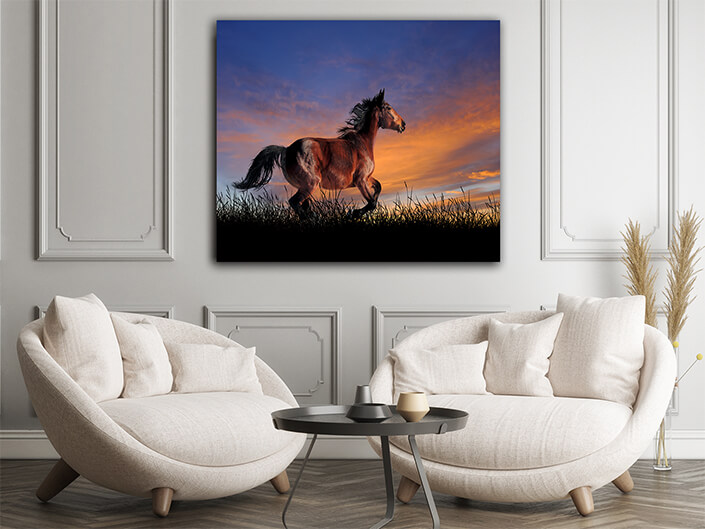 WEB002 0024 ML 0008 22639492 The horse on the background of sunset sky AOAY5560