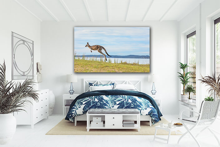 WEB002 0025 ML 0010 44417210 kangaroo hopping along grassy knoll of the bay AOAY6950
