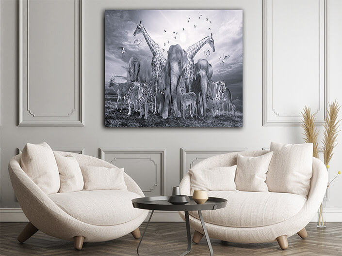 WEB002 0026 ML 0005 28347928 group of african safari animals wildlife conservation concept AOAY5629