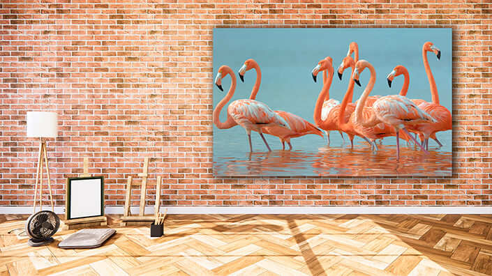 WEB002 0028 MOCKUP 0005 9072288 greater flamingos AOAY4623