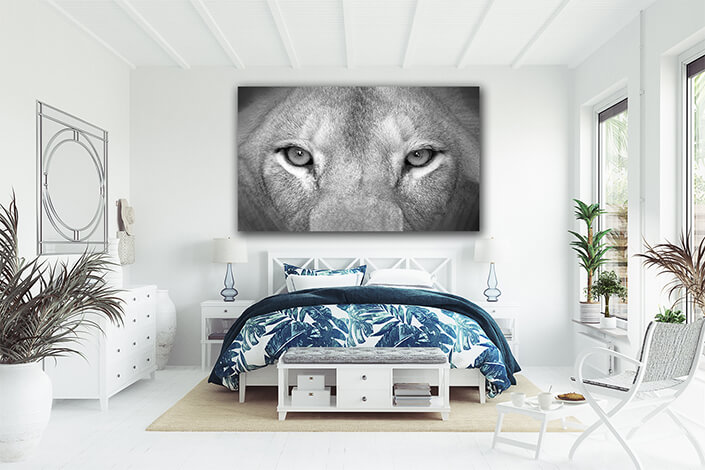 Female lion eyes close up AOAY8149