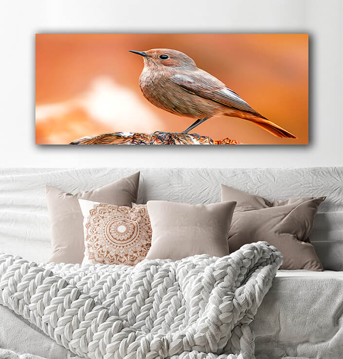 WEB002 0029 MOCKUPs 0042 36201830 beautiful colorful bird sits AOAY8115