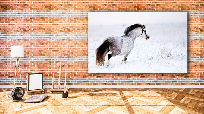 WEB002 0030 MOCKUP 0003 11606130 gray horse AOAY5506