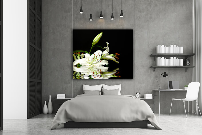 WEB002 0032 MS 0035 1292670 white flowers and reflexion AOAY7782