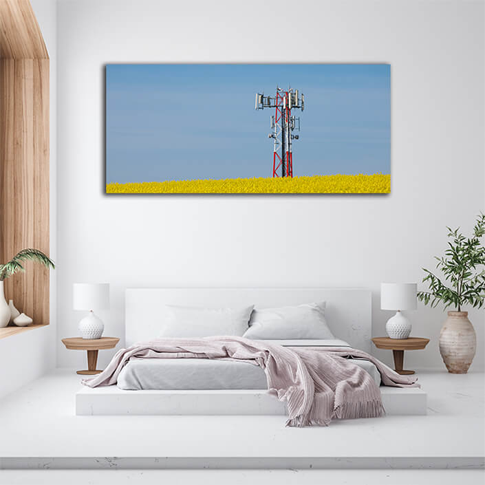 WEB002 0035 MP 0034 7480402 Transmitter tower above a blooming rapeseed field AOAY7216