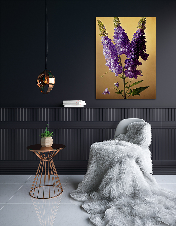 WEB002 0036 ML 0050 49132458 artistic illustration of the purple delphinium flower AOAY8189