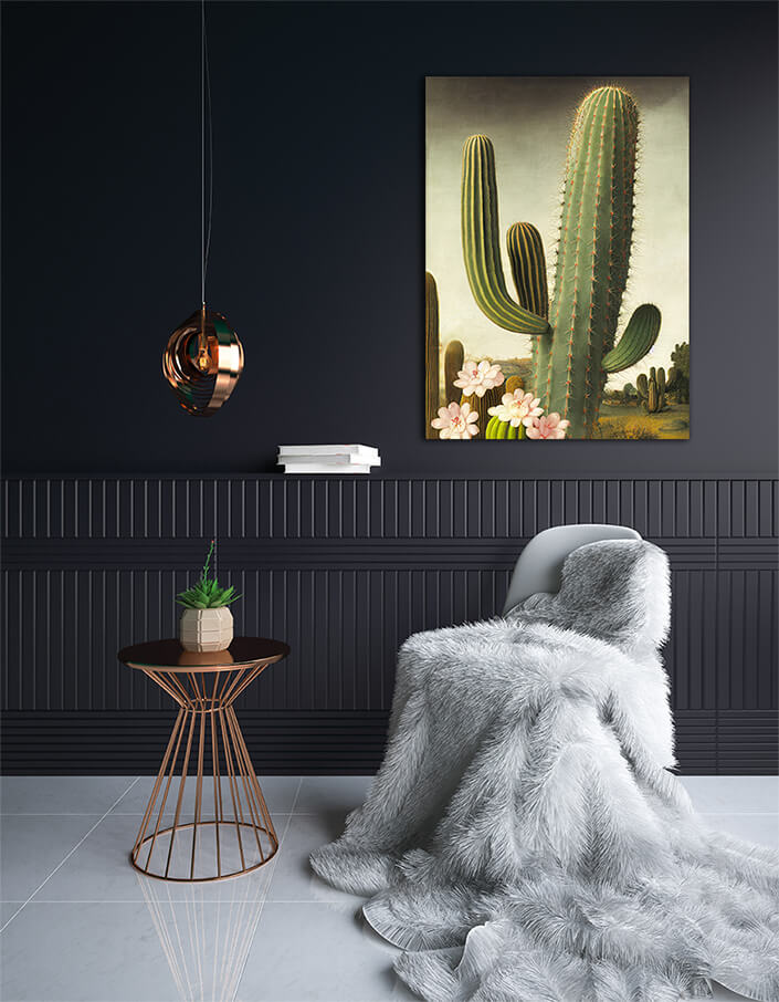 WEB002 0037 ML 0049 49132460 an artistic illustration of a pink cactus flower and its prickly stem AOAY8190