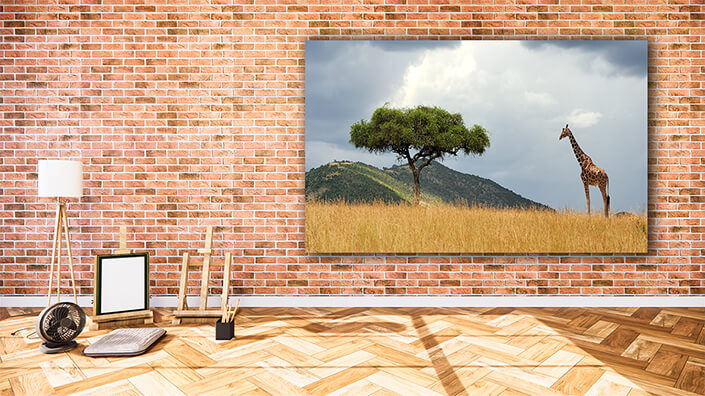 WEB002_0040_MOCKUP__0044_22505236_landscape with tree in Africa (1) AOAY5541