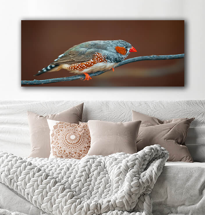 WEB002 0040 MOCKUPs 0031 37202924 bird sits on a branch AOAY6021