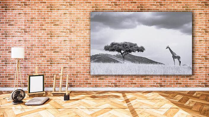 WEB002 0041 MOCKUP 0043 22505236 landscape with tree in Africa AOAY8838