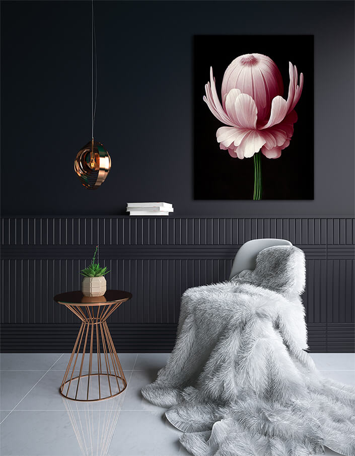 WEB002 0046 ML 0040 49132508 artistic illustration of the pink anemone flower AOAY8199