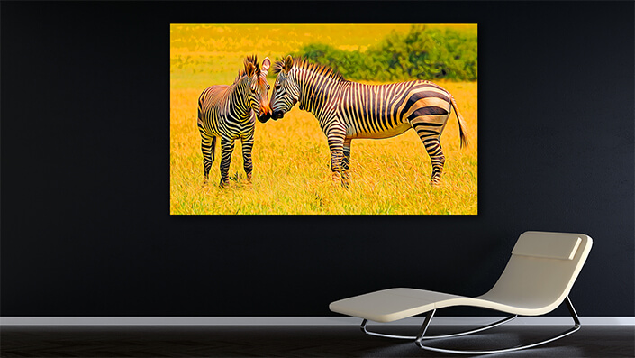 WEB002 0047 MOCKUP 0030 48199964 hartmanns mountain zebras at is natural habitat AOAY3890