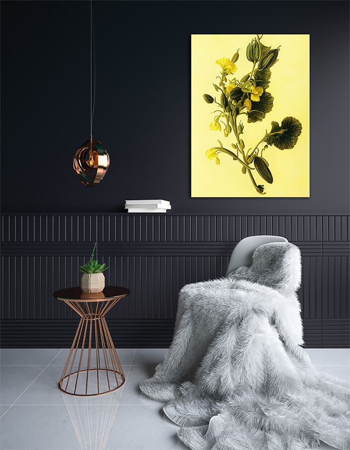 WEB002 0049 ML 0037 49132556 artistic illustration of yellow sweet pea flowers AOAY8202