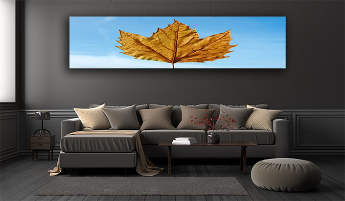 WEB002 0050 ML 0069 1880559 leaf AOAY7180