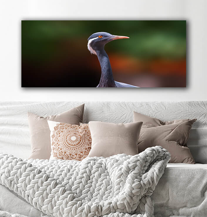 WEB002 0051 MOCKUPs 0020 37203172 heron observes nature and looks for food AOAY6032