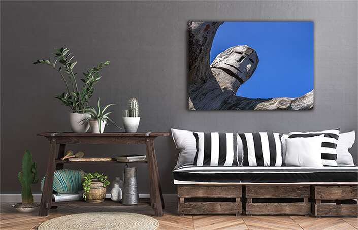 WEB002 0055 MS 0041 33056918 tree trunk carved AOAY6507