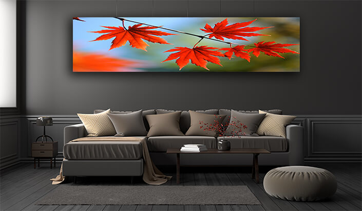WEB002 0060 ML 0059 7239996 autumn maple leaves AOAY6683