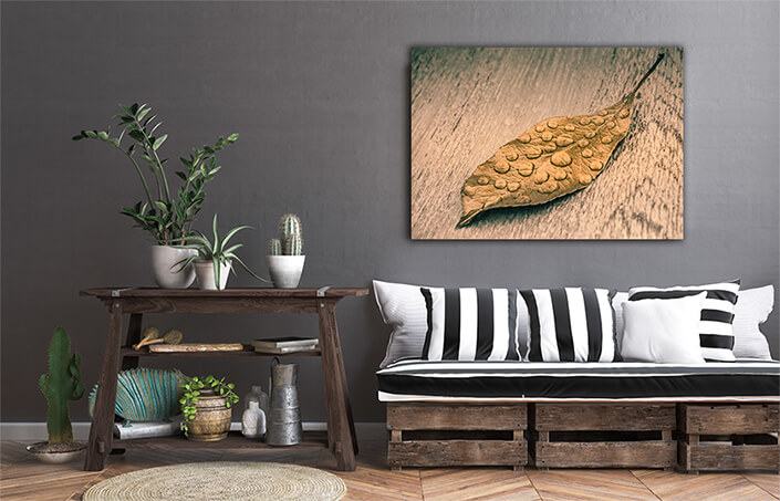 WEB002 0060 MS 0036 35551948 dry leaf on greybackground AOAY6140