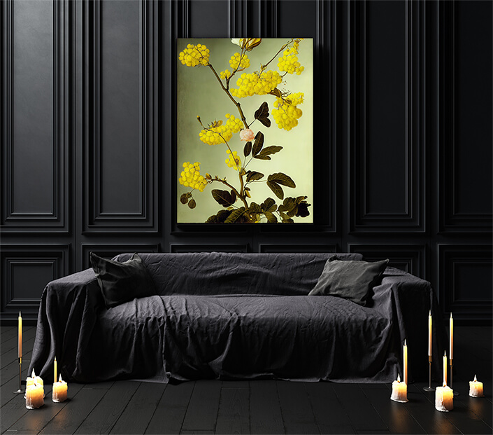 WEB003 0000 ML 0020 49132744 an artistic illustration of the australian wattle AOAY8220