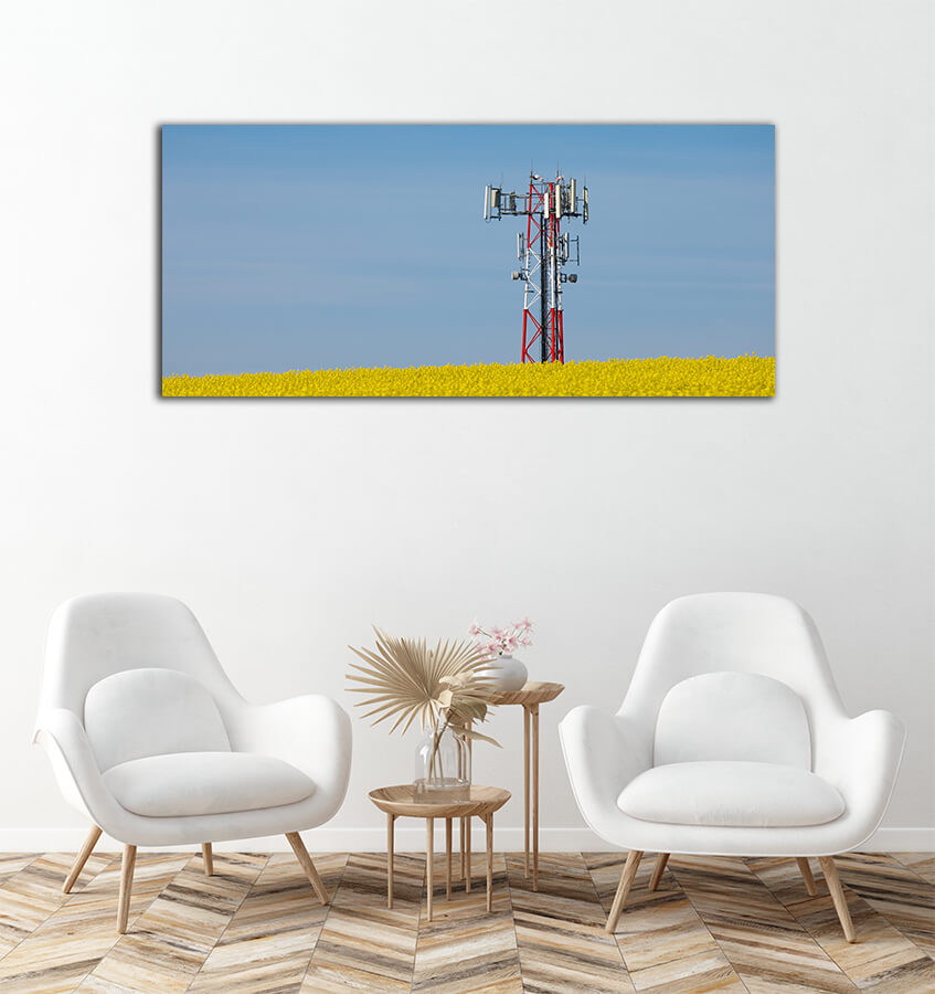 WEB003 0002 MP 0034 7480402 Transmitter tower above a blooming rapeseed field AOAY7216