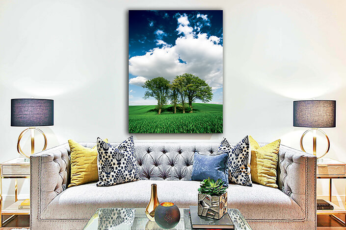 WEB003 0002 MP 0017 26872710 trees over the grain field AOAY6424