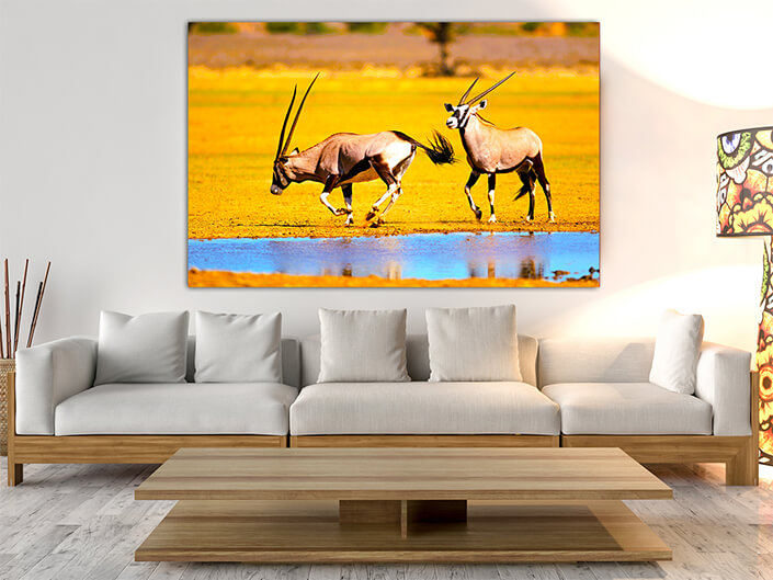 Gemsbok-antelopes-at-a-waterhole  AOAY4786