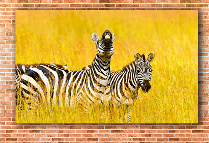 WEB003 0003 MOCKUP 0031 22675738 zebra AOAY5576