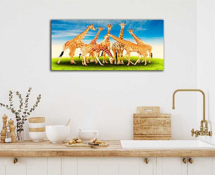 WEB003 0005 ML 0027 20990816 group of giraffe AOAY4627