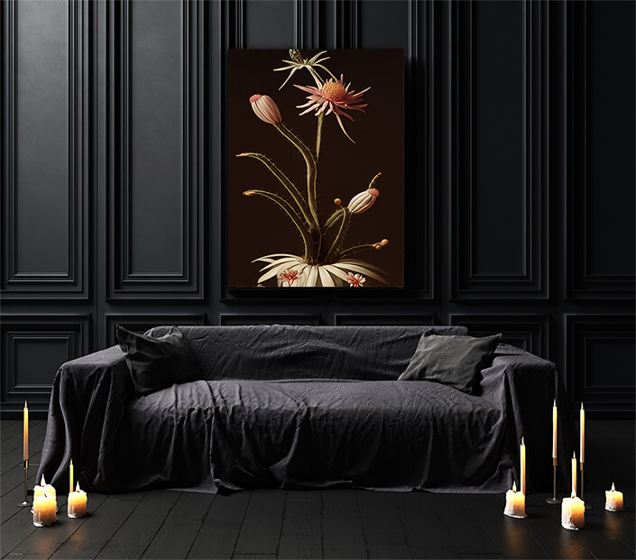 WEB003 0005 ML 0015 49132784 artistic illustration of the desert cactus AOAY8226