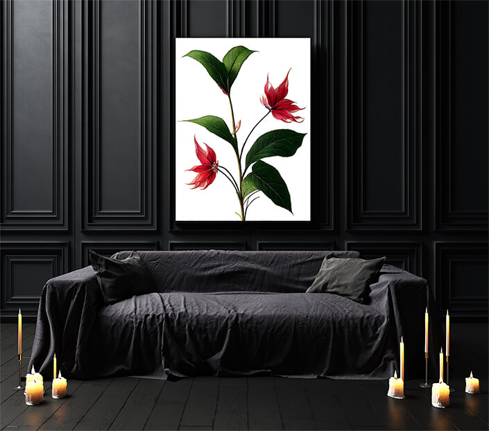 WEB003 0007 ML 0013 49132794 poinsettia flowers red petals green leaves on white artistic illustration AOAY8228