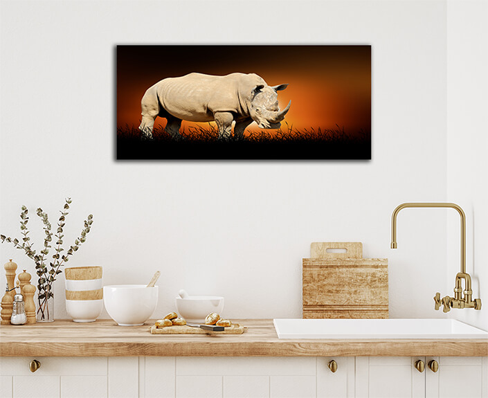 WEB003 0008 ML 0024 22639442 rhino on the background of sunset AOAY5546