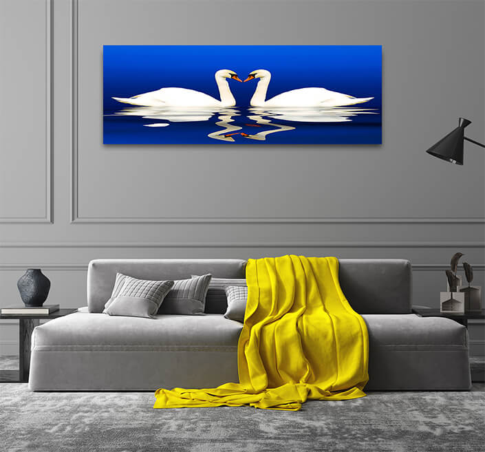 WEB003 0008 ML 0002 2144529 two swans with reflection AOAY8122